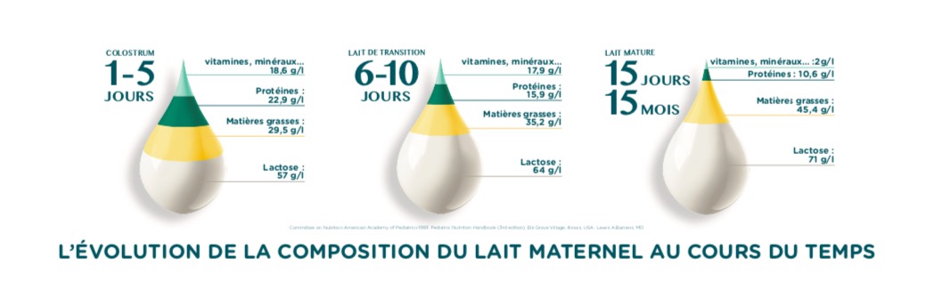 composition du lait maternel