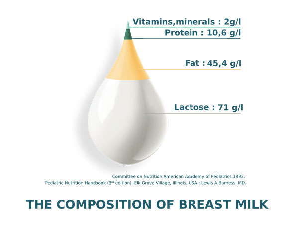 composition du lait maternel