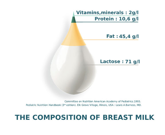 composition du lait maternel