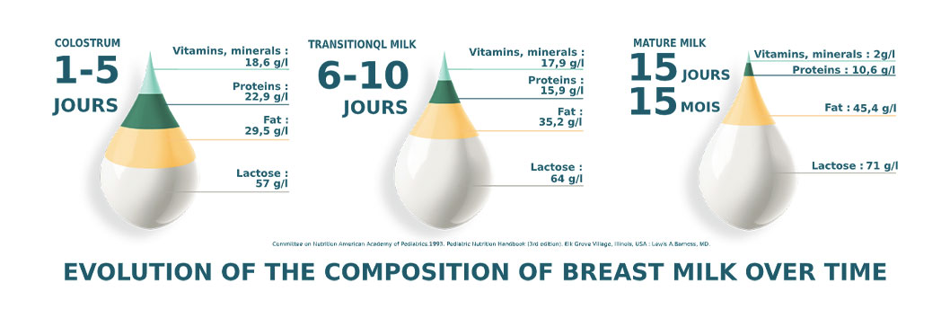 composition du lait maternel